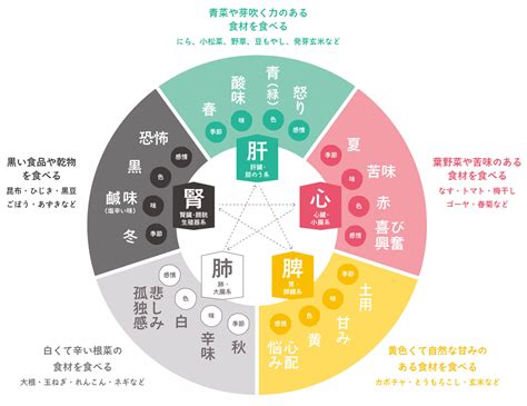 東洋医学 膵臓 感情